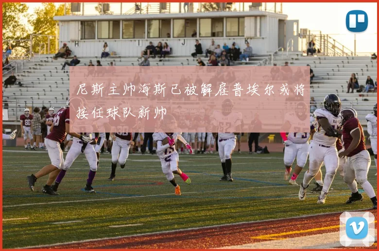 尼斯主帅海斯已被解雇普埃尔或将接任球队新帅