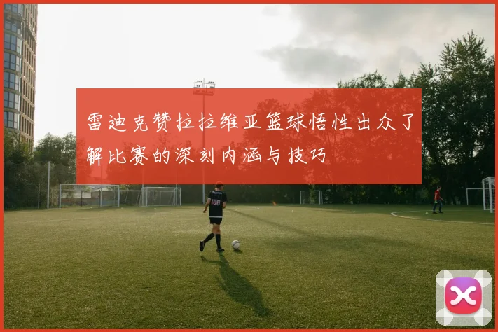 雷迪克赞拉拉维亚篮球悟性出众了解比赛的深刻内涵与技巧