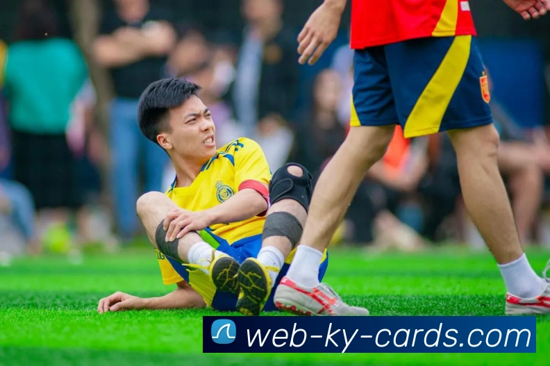 开云棋牌官网服务体系